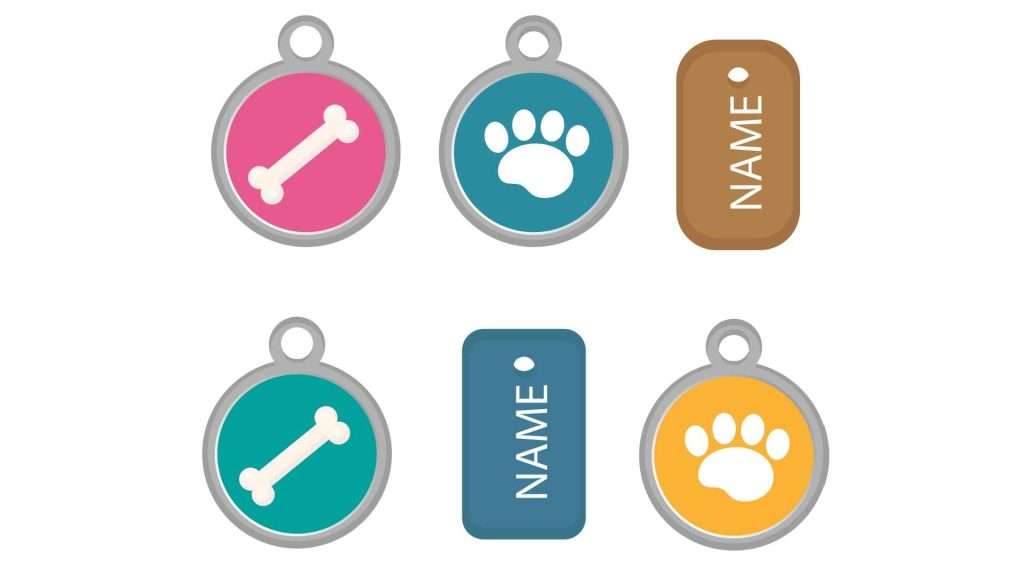 Dónde Comprar Placas para Perros: Guía Completa para Propietarios Responsables 1 donde comprar placas para perros varias
